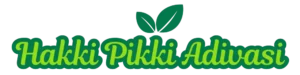 hakkipikkiadivasi.co website logo